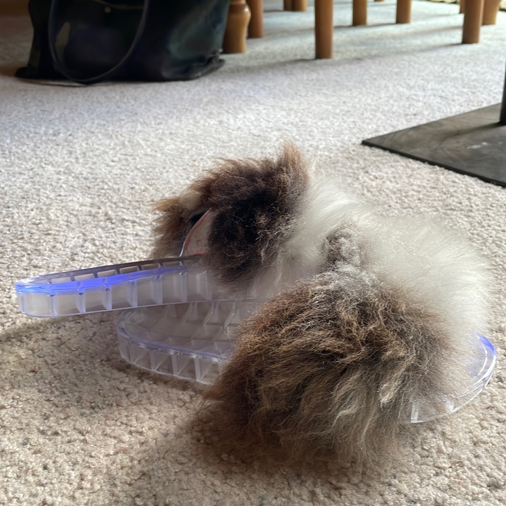 NWOT sheepskin jelly slides!